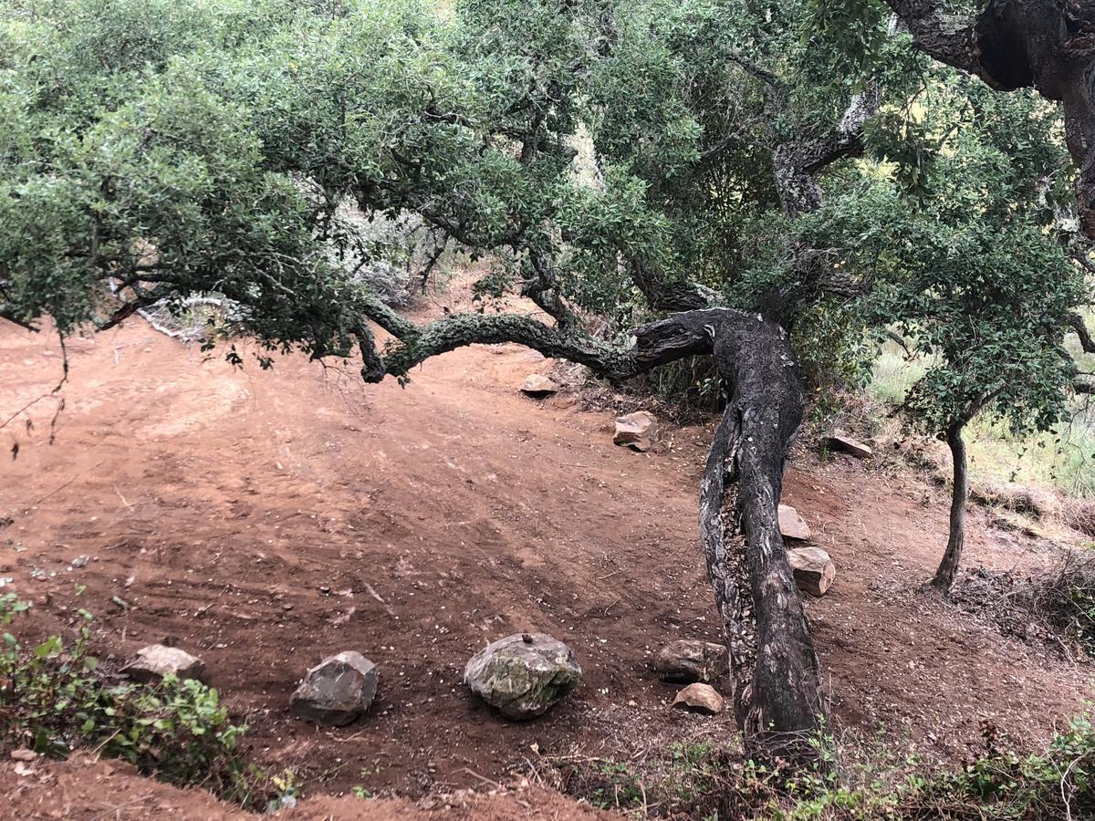 فندق Monte Do Zambujeiro فيلا نوفا دو ميلفونتس المظهر الخارجي الصورة